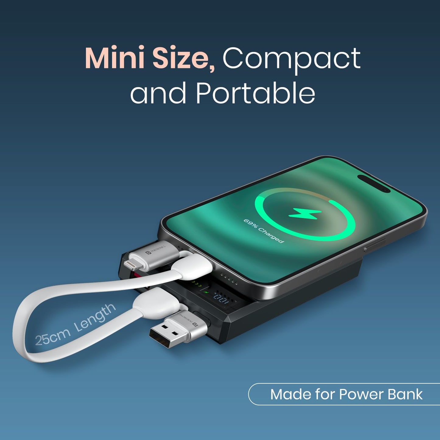 4 in 1 Cable Keychain