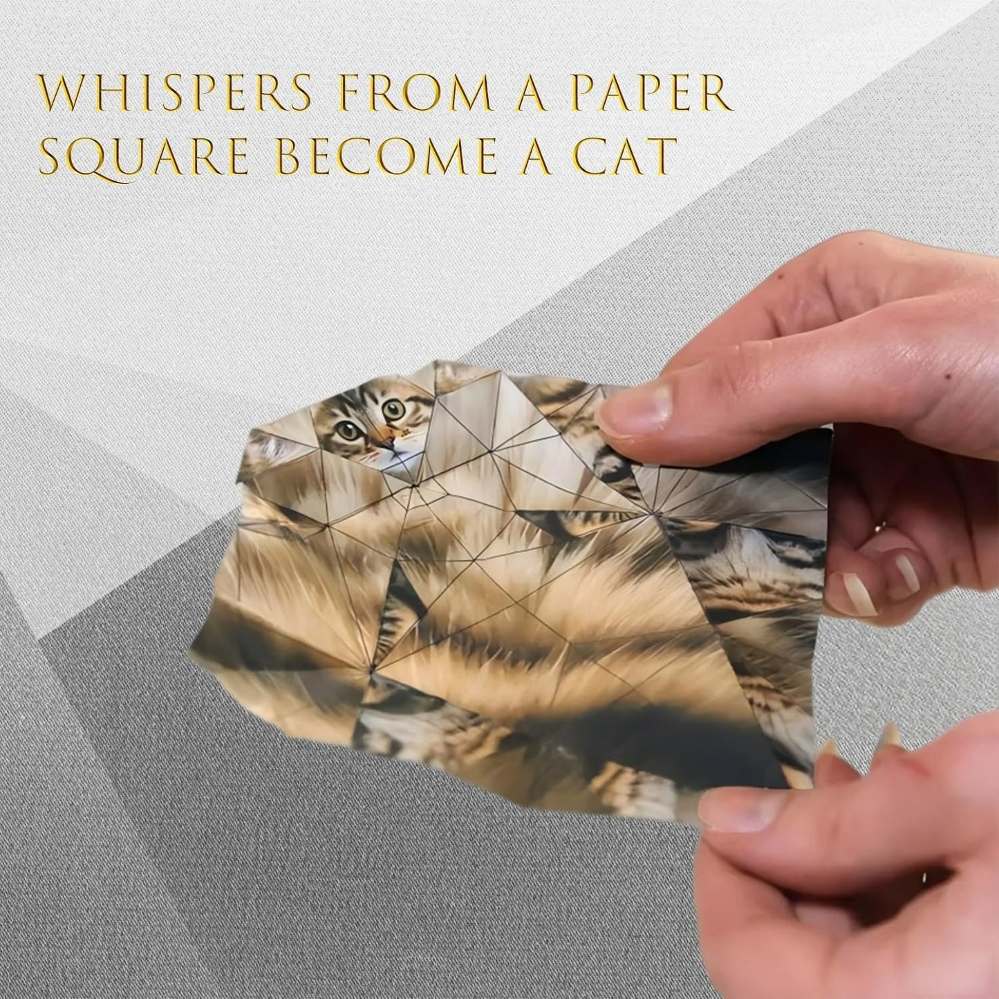 DIY Paper Cats